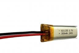 Polymer lithium-ion batteries